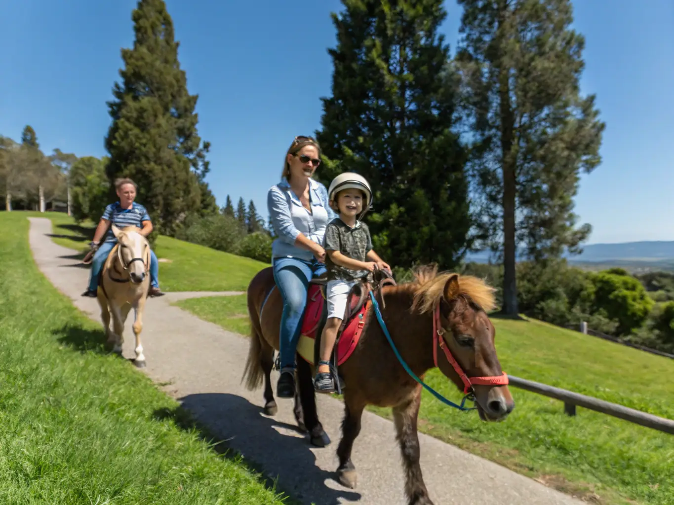 Une image d’un événement public avec des familles, des enfants et des chevaux, dans un espace ouvert, illustrant la convivialité et l’accessibilité des manifestations organisées par MAISON DU CHEVAL.