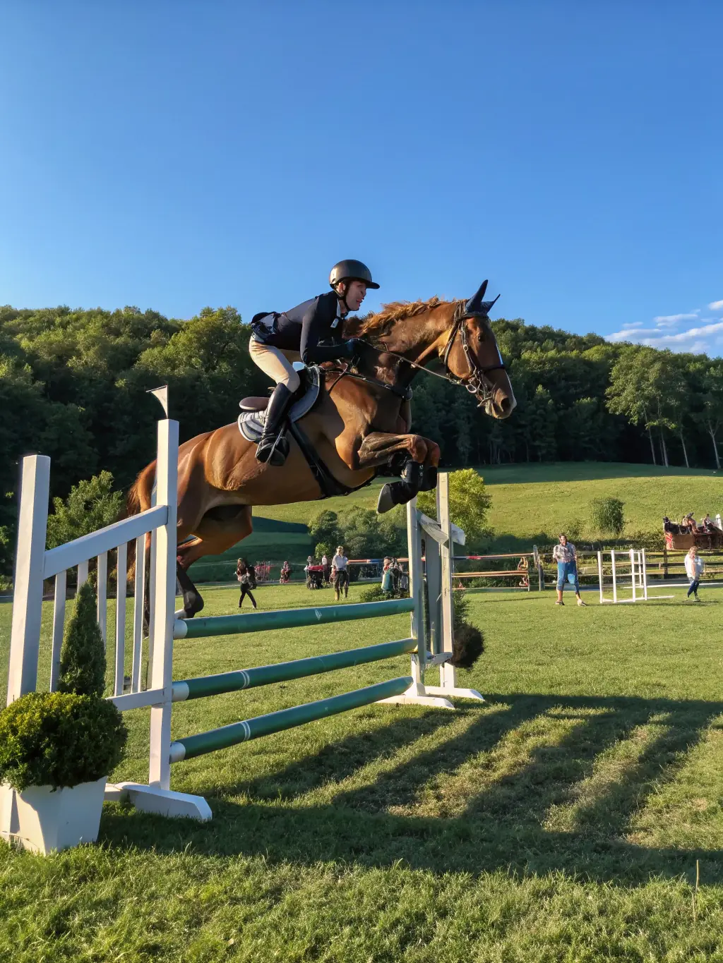 A dynamic scene of riders in traditional equestrian attire competing in a show jumping event, with an enthusiastic audience and banners displaying the Maison du Cheval logo in the background.